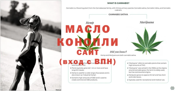 амф Елабуга