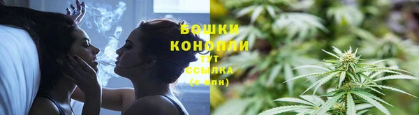 амф Елабуга