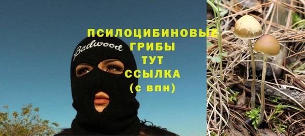 COCAINE Богородск