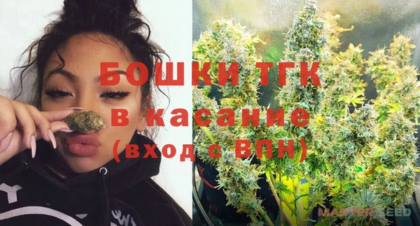 ALPHA PVP Богородицк