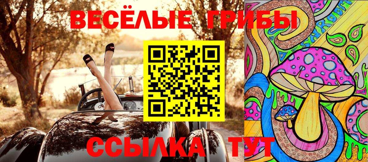 Галлюциногенные грибы прущие грибы  Псилоцибиновые грибы Psilocybine cubensis  Вход с VPN  Малоярославец 