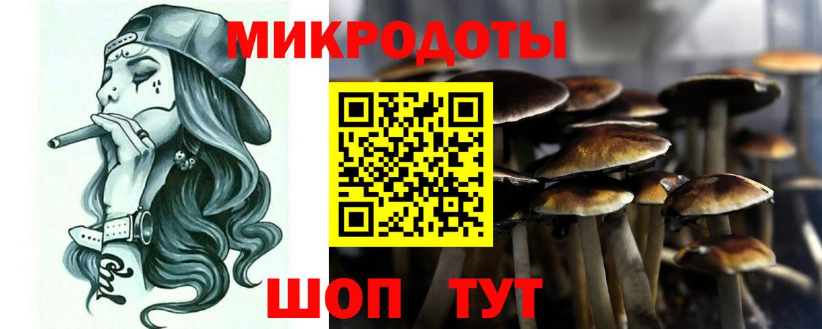 Галлюциногенные грибы MAGIC MUSHROOMS Малоярославец